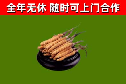 木兰县烟酒回收冬虫夏草.jpg